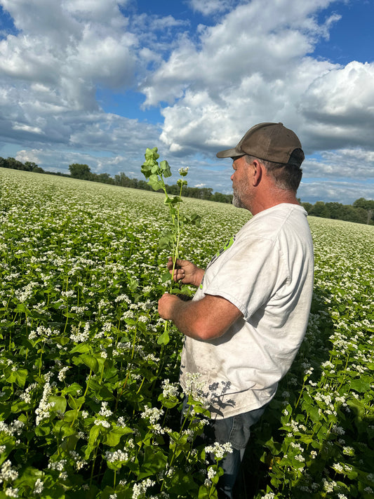 Our Harvest Promise: How We Grow, Mill, and Deliver with Integrity