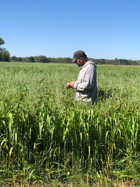 Planting Season 2024: A Fresh Start on the Farm