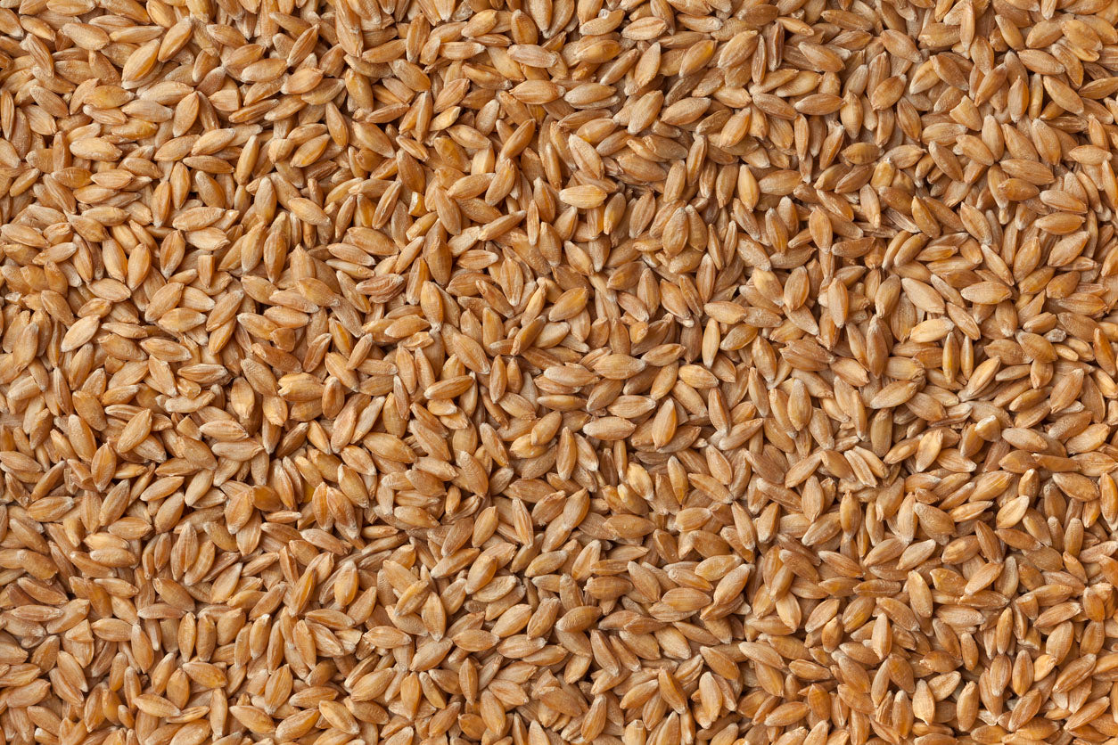 Einkorn Wheat Berries: Coming Soon!