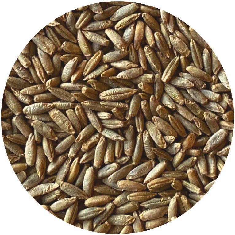 Gelbstein Rye Golden Grain Chronicles: Rye Edition – Chisholm Trail Farm